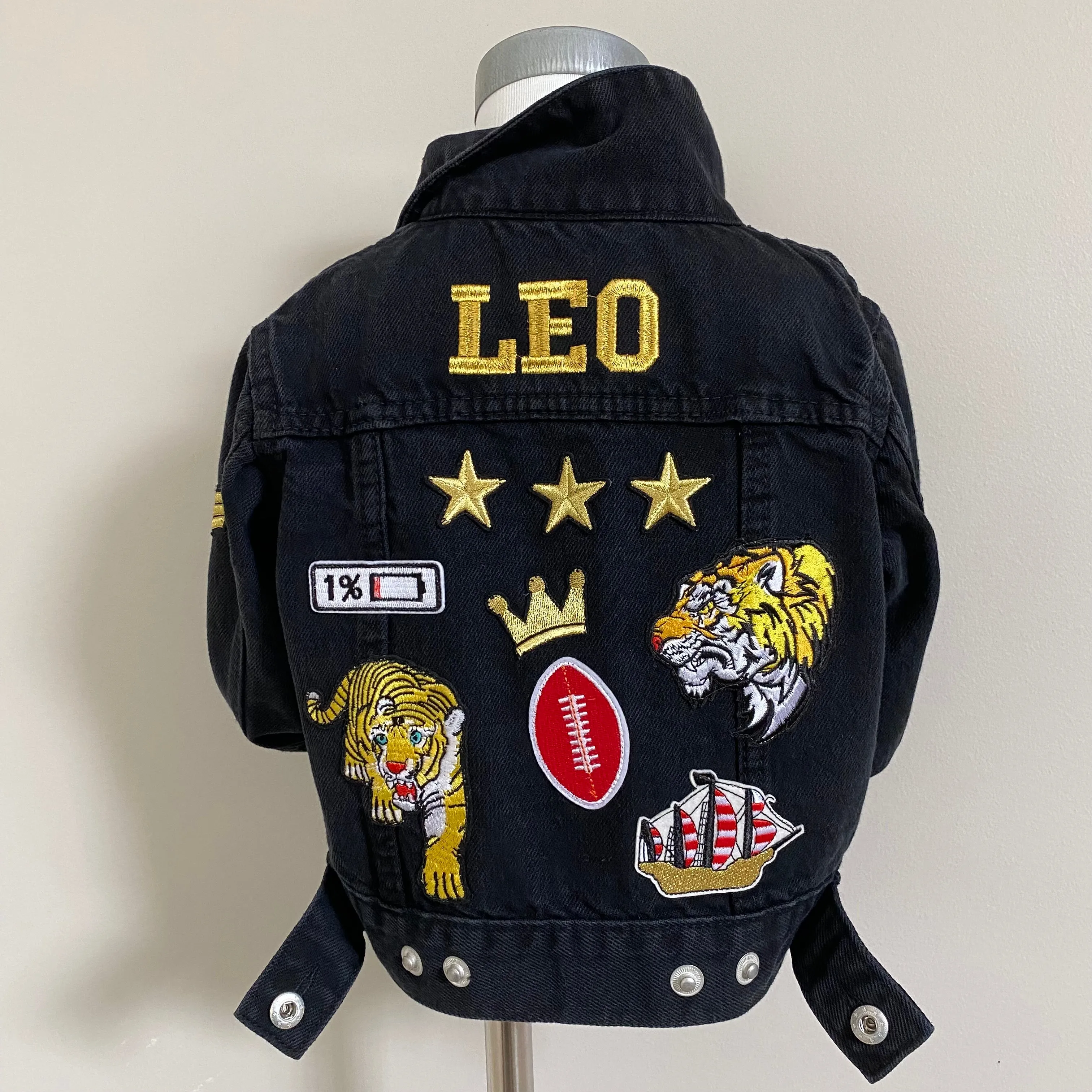 LEO 3